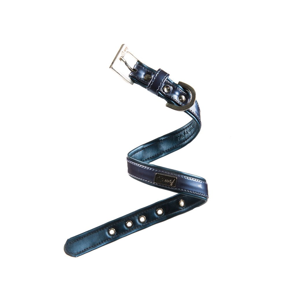 comprar collar perrro azul charol comprar collar perrro azul charol