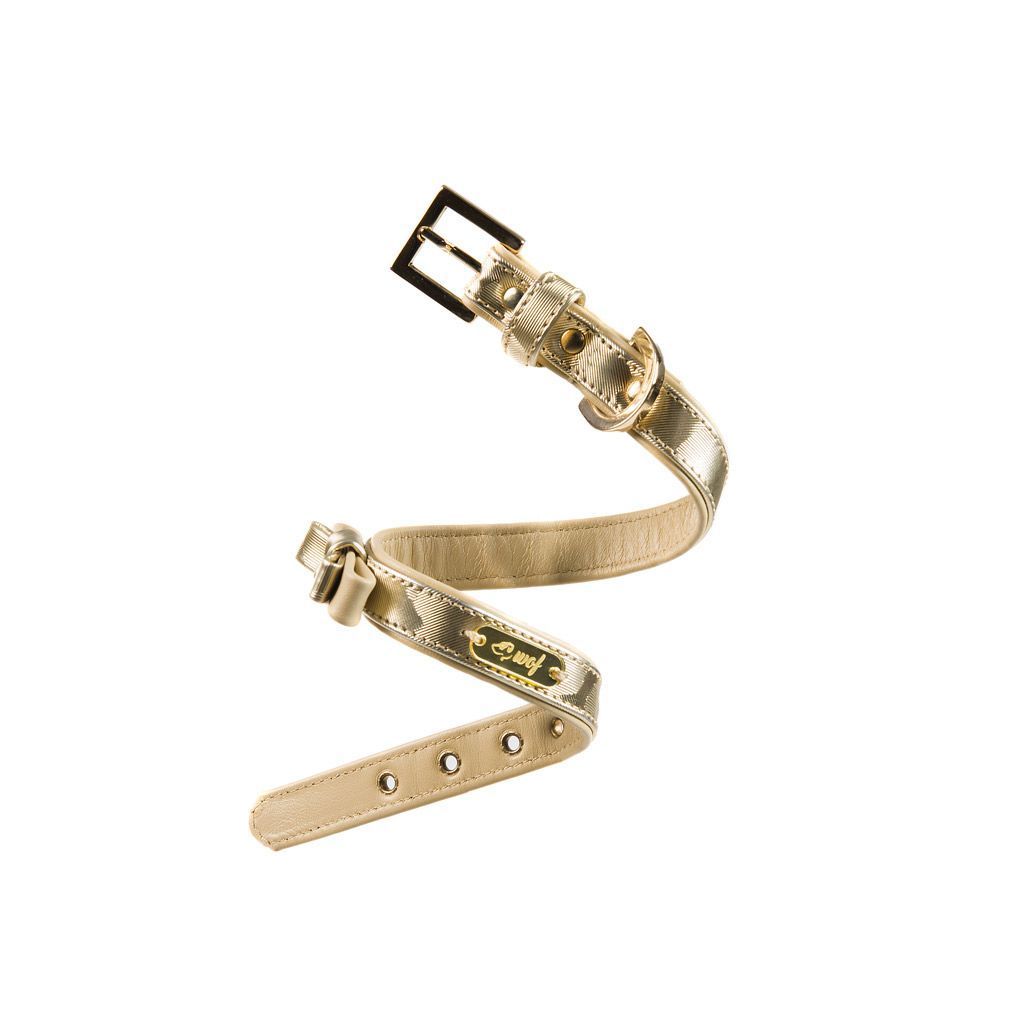 comprar collar perro dorado lazo comprar collar perro dorado lazo