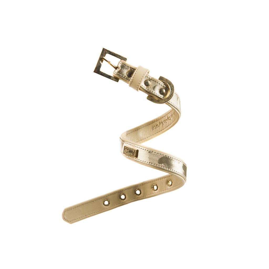 comprar collar perro dorado comprar collar perrro dorado