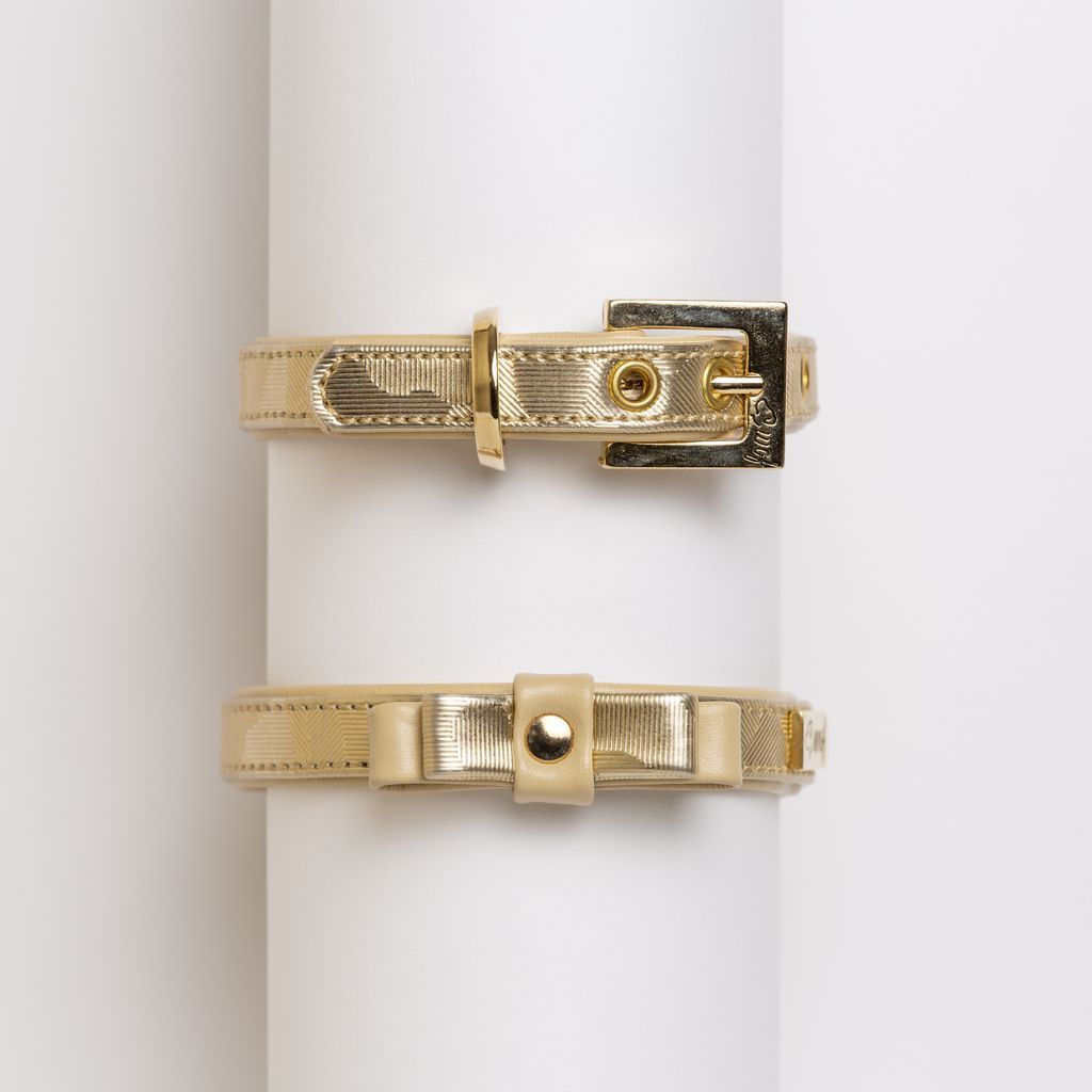 comprar collar perro dorado lazo cerrado comprar collar perro dorado lazo cerrado