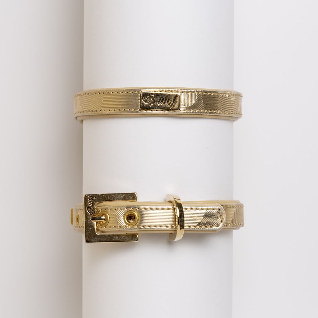 comprar collar perro dorado cerrado comprar collar perro dorado cerrado